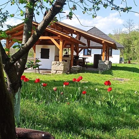 Villa Casa Livada Bunicii Tîrgu Ocna Exterior foto