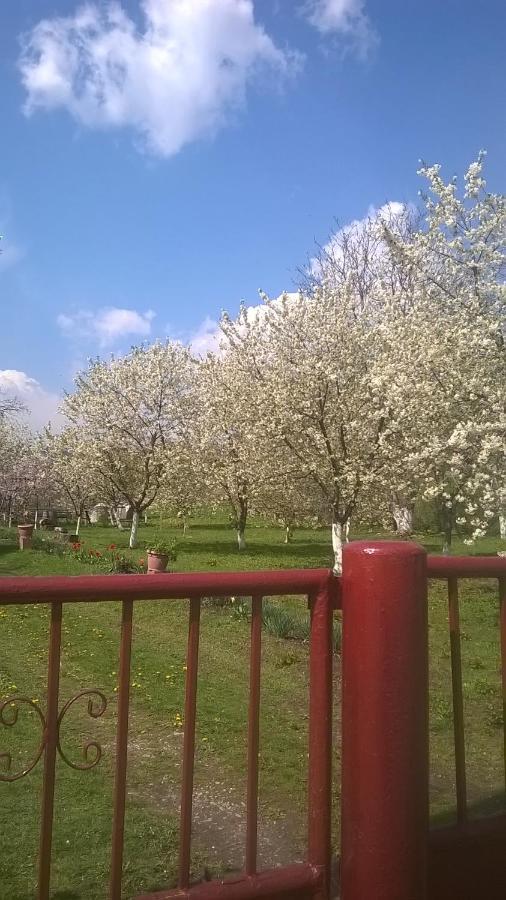 Villa Casa Livada Bunicii Tîrgu Ocna Exterior foto