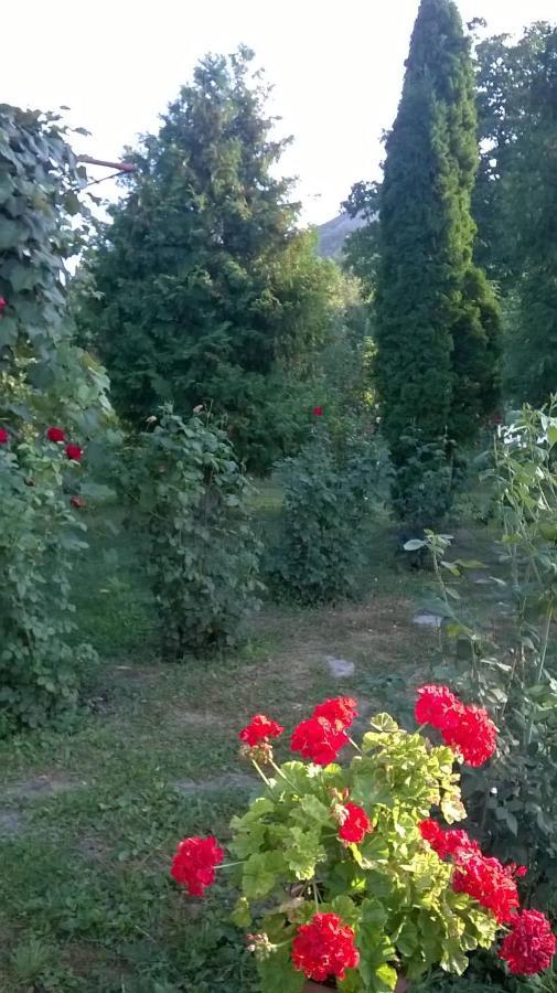 Villa Casa Livada Bunicii Tîrgu Ocna Exterior foto