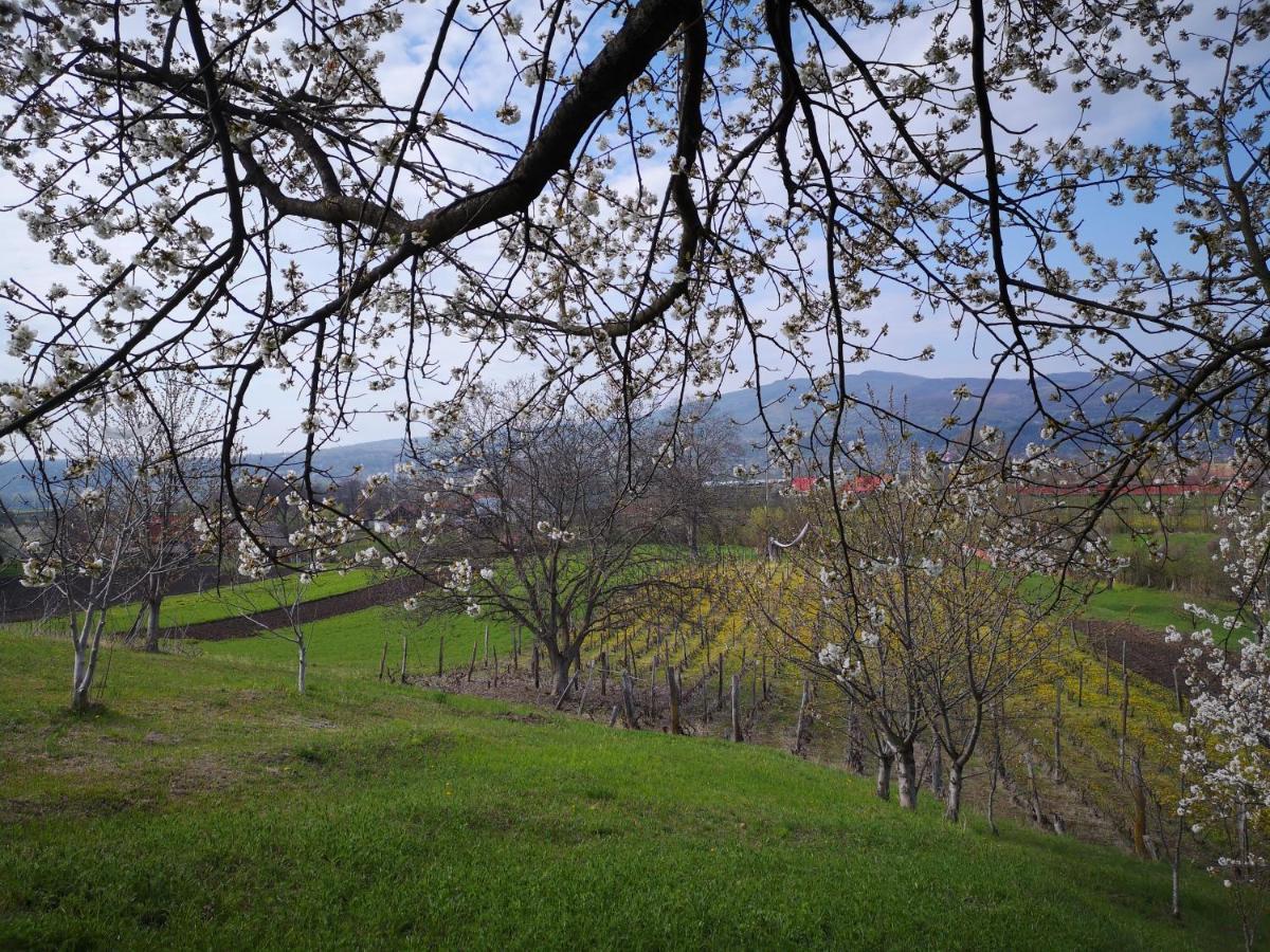 Villa Casa Livada Bunicii Tîrgu Ocna Exterior foto
