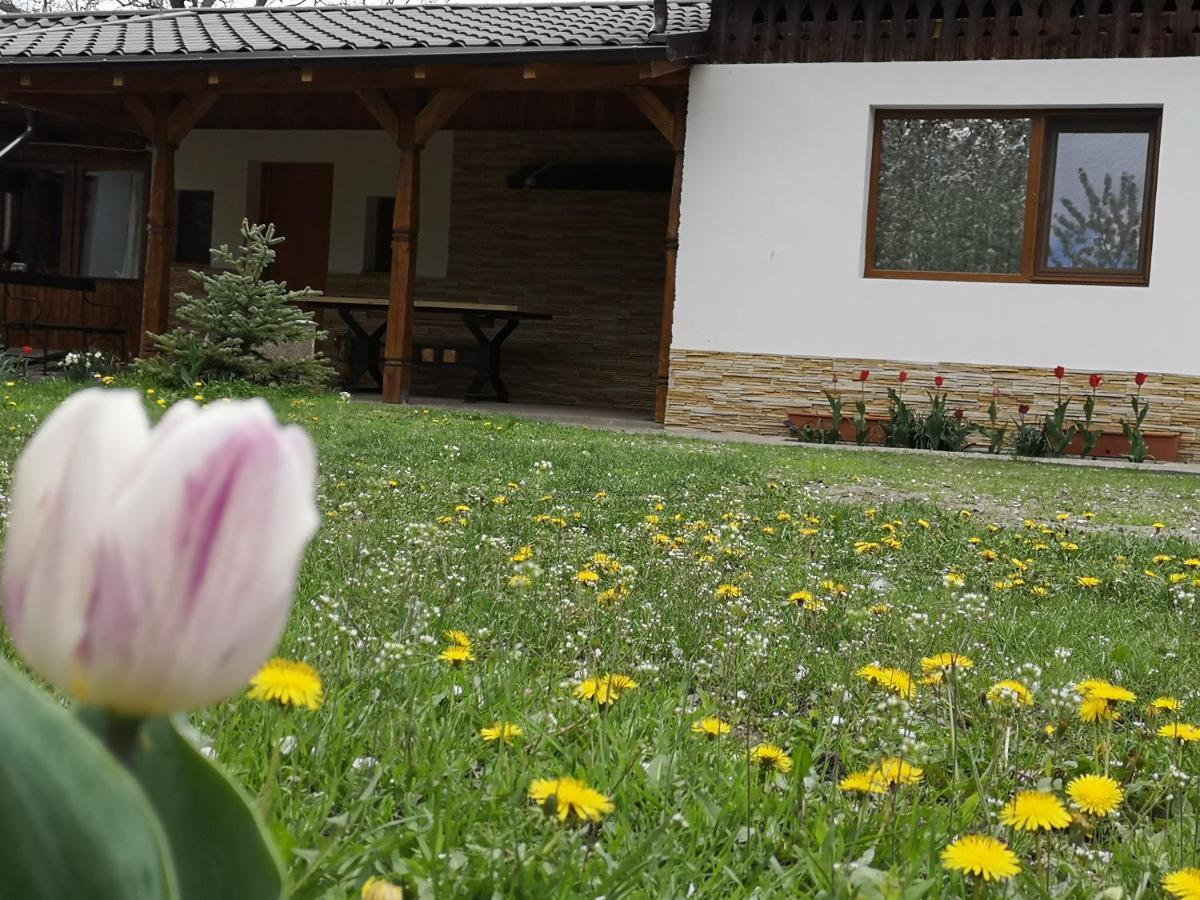 Villa Casa Livada Bunicii Tîrgu Ocna Exterior foto