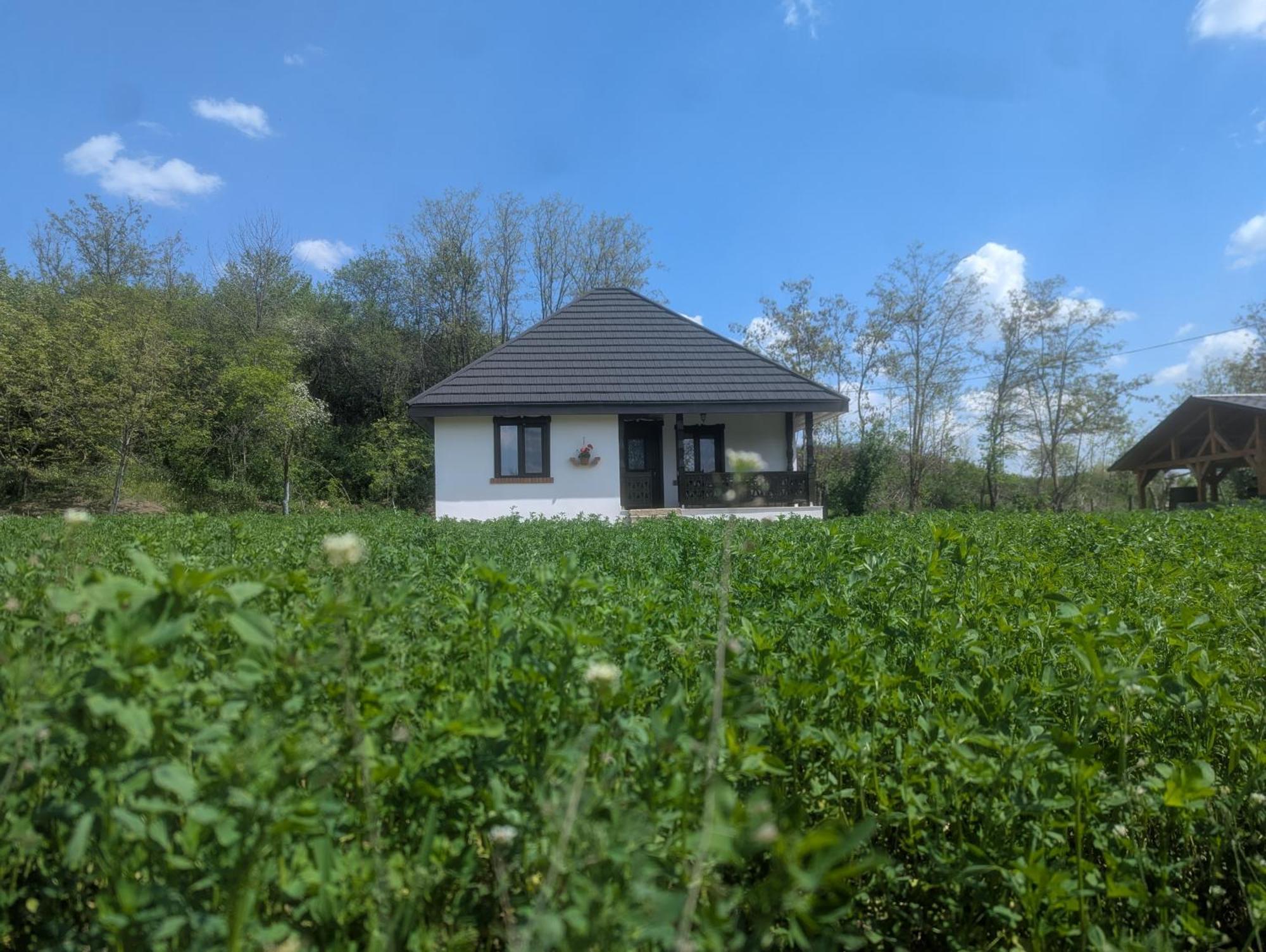 Villa Casa Livada Bunicii Tîrgu Ocna Zimmer foto